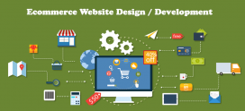 Ecommerce Website Design / Development